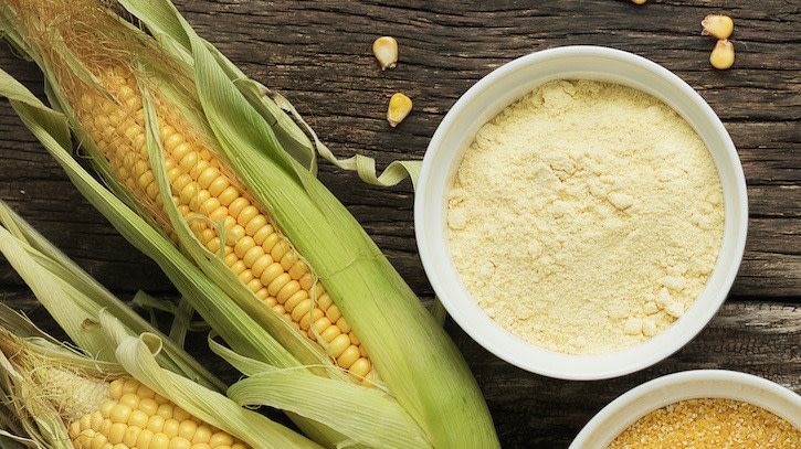 آرد ذرت چیست؟ آشنایی کامل با این آرد🌽